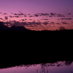 Moon and Venus in Colorful Twilight