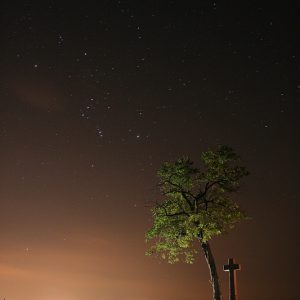 Rising Orion