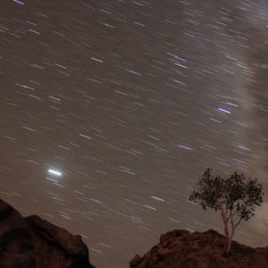 Tree, Milky Way, and Jupiter