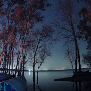 Stars and Trees near Erhai Lake