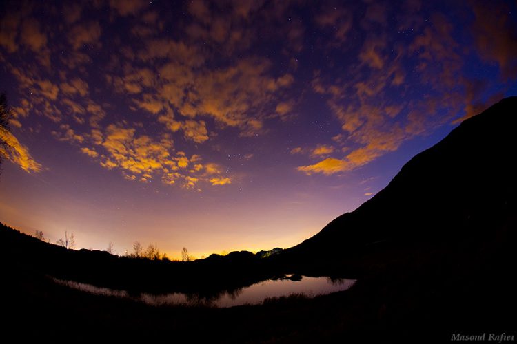 Silhouetted Winter at Dusk