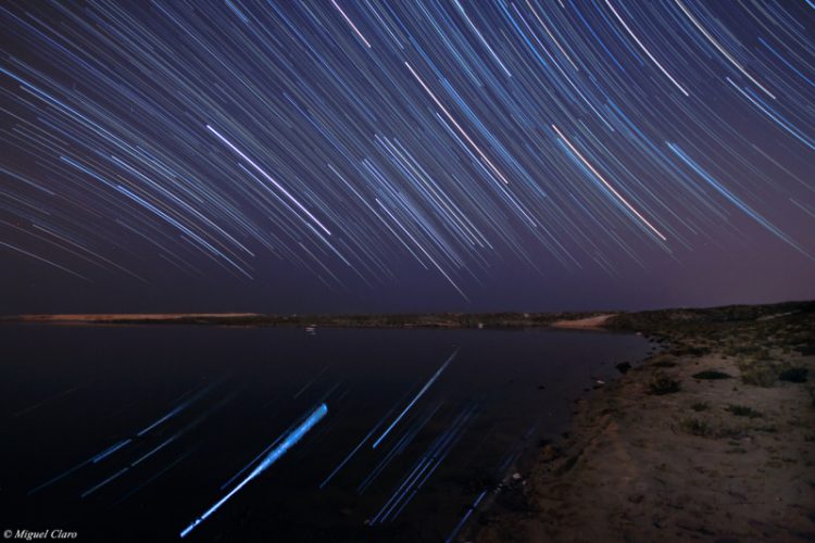 Starry Lagoon