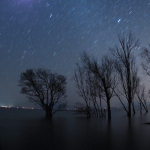 Erhai Lake Stars and Trees