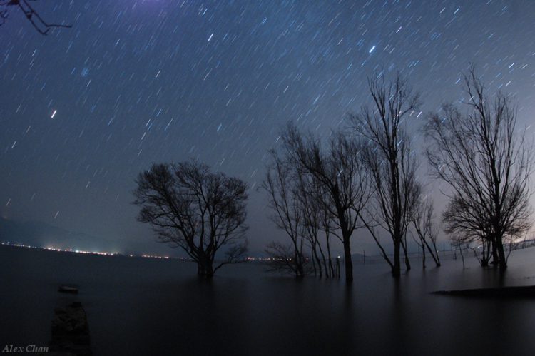 Erhai Lake Stars and Trees