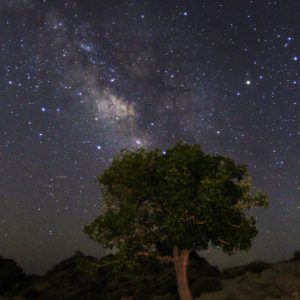 Spring and the Milky Way