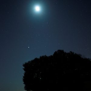 Moon and Venus from Mercedes