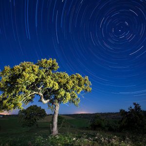 Montado Star Trails