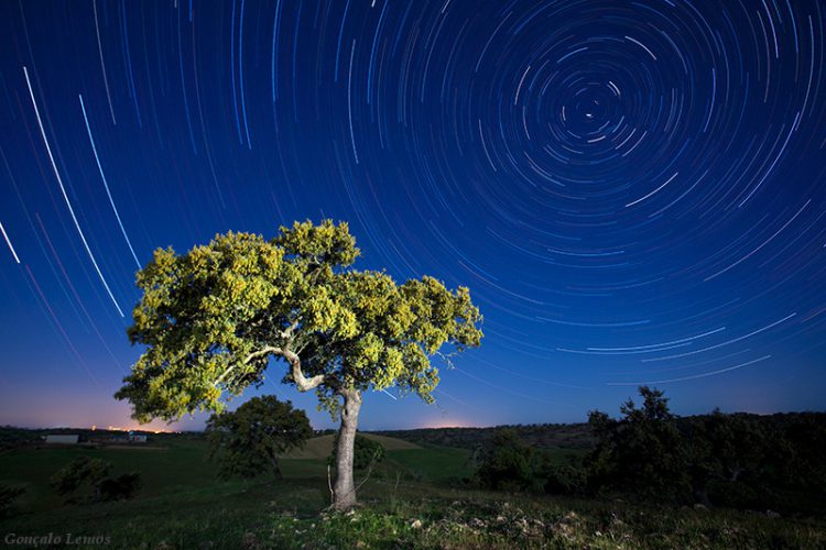 Montado Star Trails