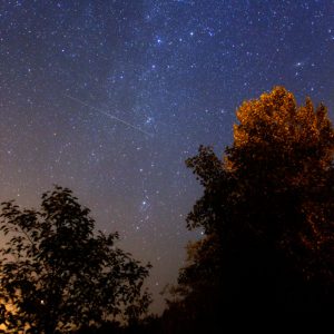 Satellite Trail above the Northern Forests