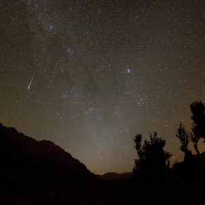 Pre-dawn Perseid Meteor