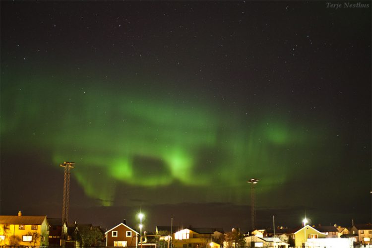 Nordland Skies