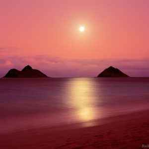 Tropical Island Full Moon