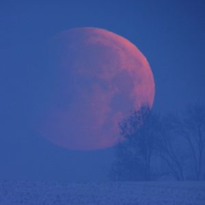 Eclipsed Moon Setting