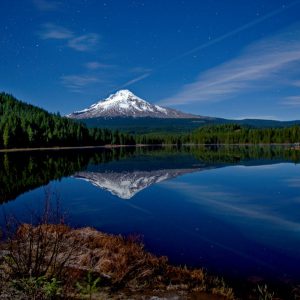 Trillium Moonlight and Stars