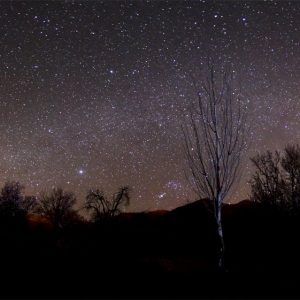 Winter Constellations Panorama