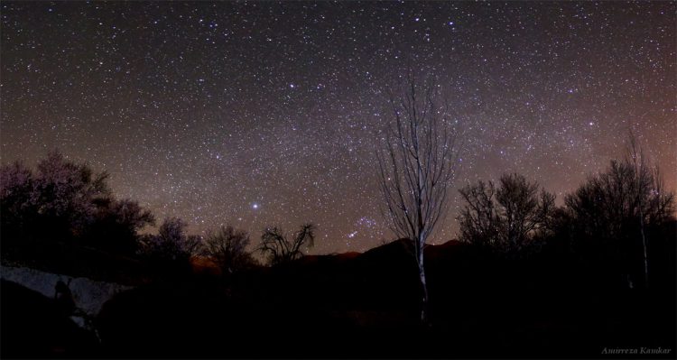 Winter Constellations Panorama