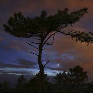 Jupiter and Crescent Moon