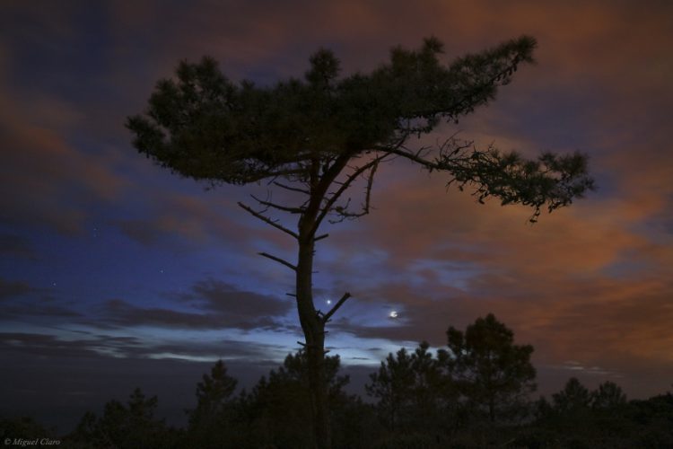 Jupiter and Crescent Moon