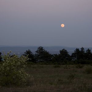 Zsambek Full Moonrise