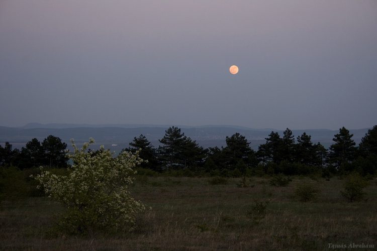 Zsambek Full Moonrise