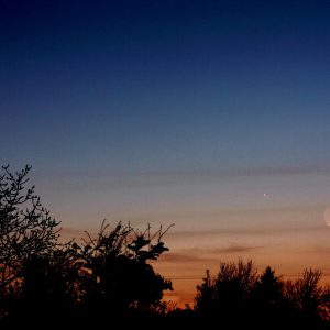 Venus, Mercury, and Crescent Moon