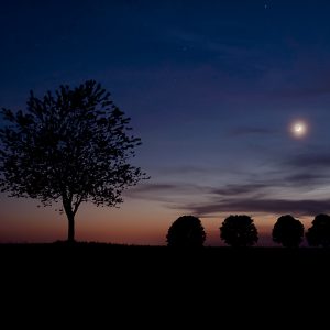 Moonset in the Dusk