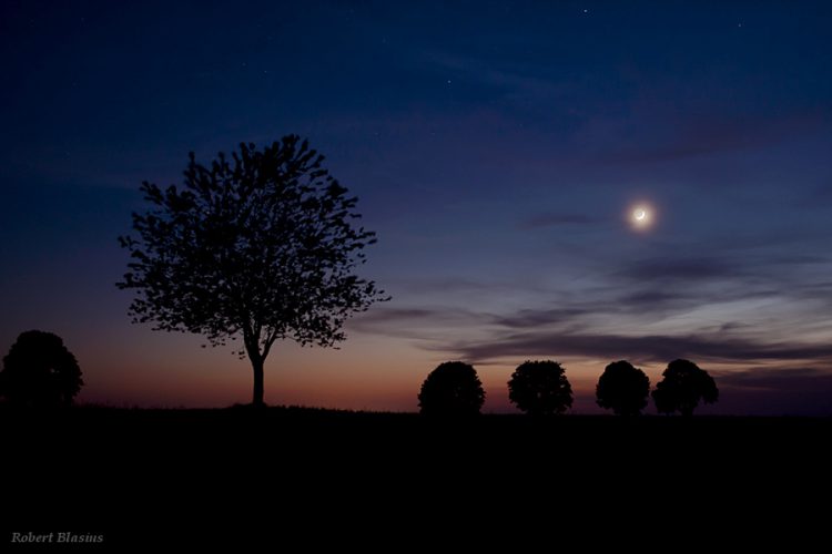 Moonset in the Dusk