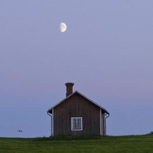 Moon, Bird and Cabin