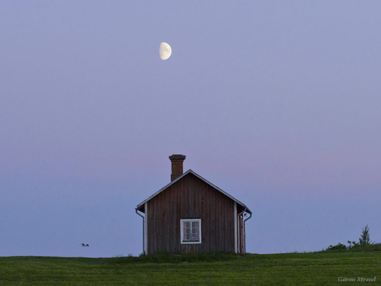 Moon, Bird and Cabin