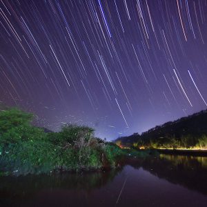 Fireflies and Star Trails