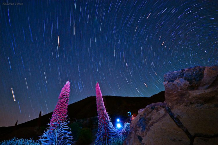 Tajinastes at Night II
