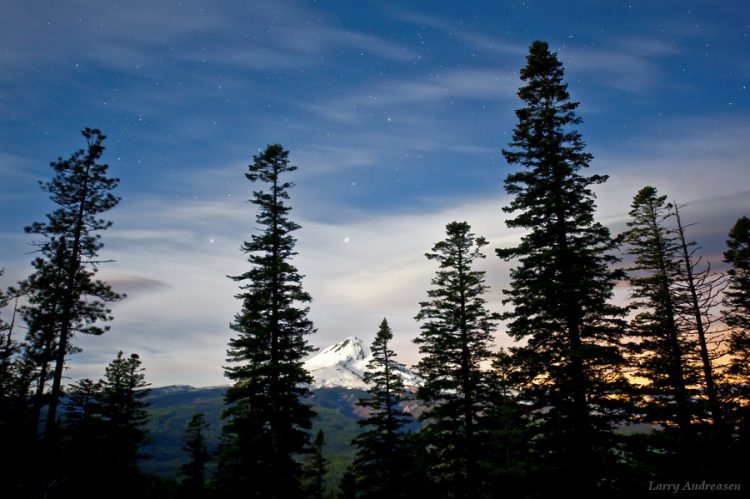 Moonlit Mount Hood