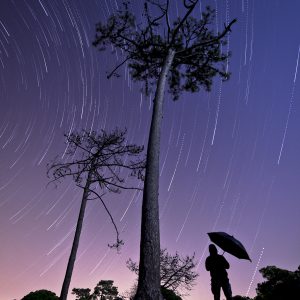 Raining Stars