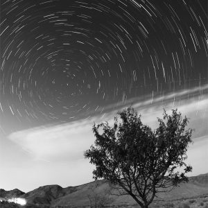 Night in Black and White