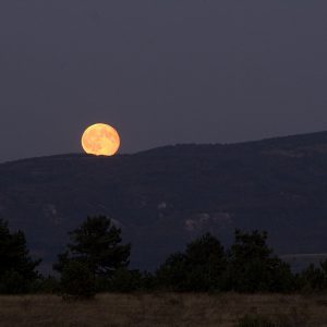 Hunter Moonrise