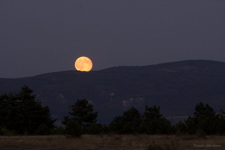 Hunter Moonrise