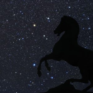 In the Hour of Pegasus