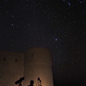 Night Observer