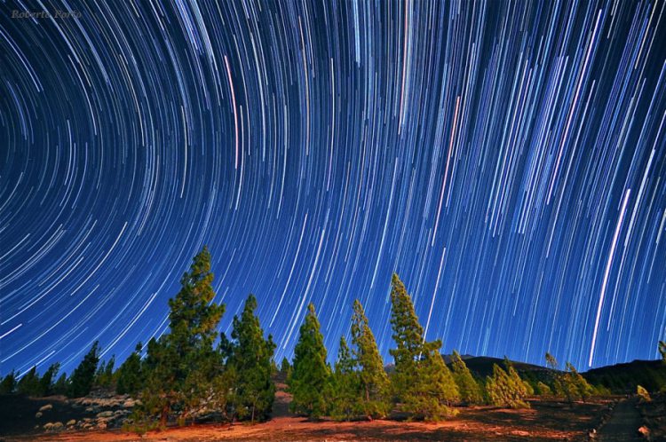 Star Trails Over Island Pines