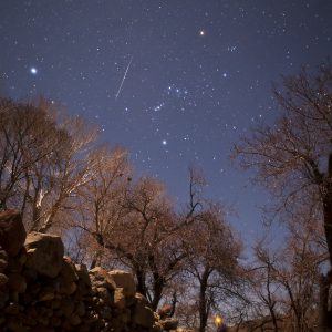 Geminid and Orion