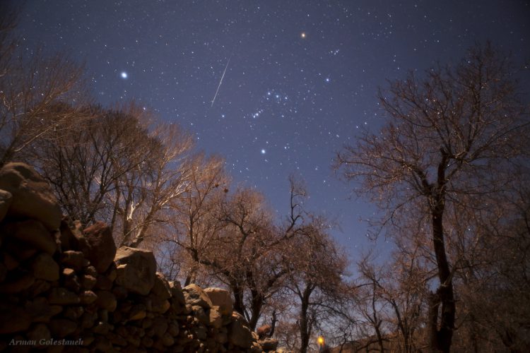 Geminid and Orion
