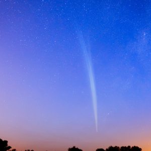 Comet Lovejoy from Argentina II