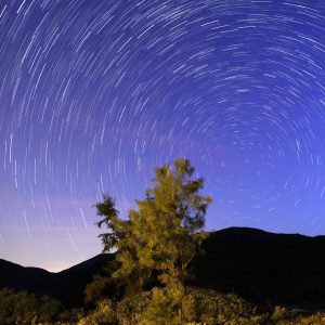 Startrails of Sai Wan