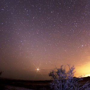 Zodiacal Light and Venus