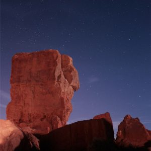Northern Stars in Moonlight