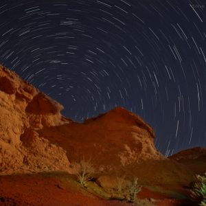 Stars from the North