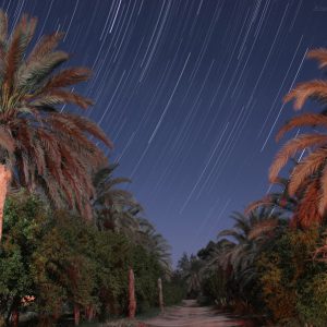 Spring  Stars