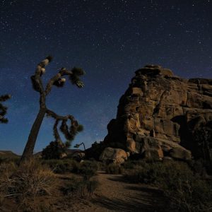 Hidden Valley Nights