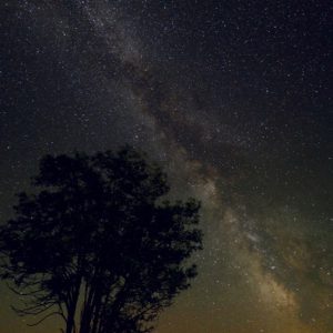A Starry Night of Ukraine