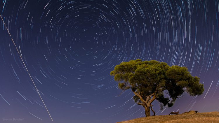 Stars and Stories